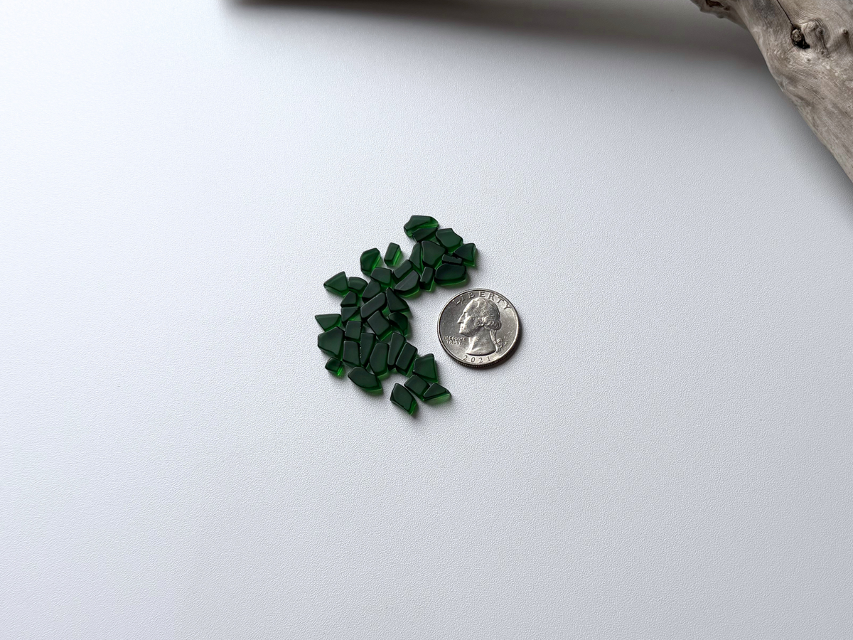 Close-up macro shot of dark green micro sea glass pieces beside a quarter, highlighting the tiny frosted texture and true filler size of each piece.